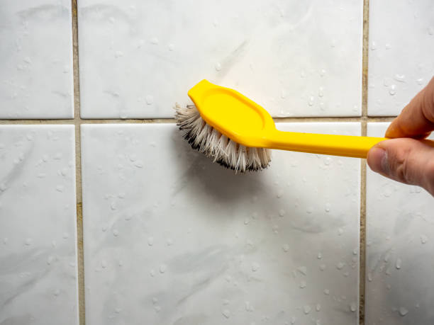 Best Toxic Mold Removal  in East Newark, NJ