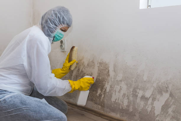 Best Crawl Space Mold Removal  in East Newark, NJ