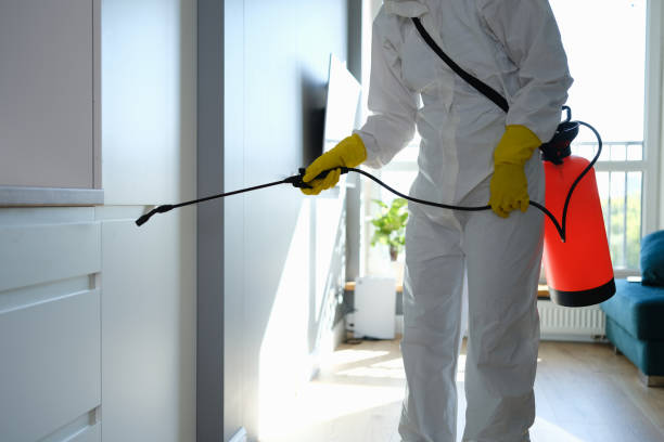 Best Fast Mold Removal  in East Newark, NJ