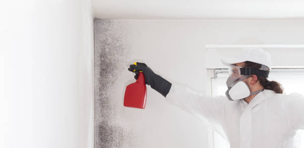 Best Crawl Space Mold Removal  in East Newark, NJ