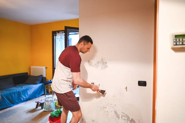 Best Home Mold Removal  in East Newark, NJ